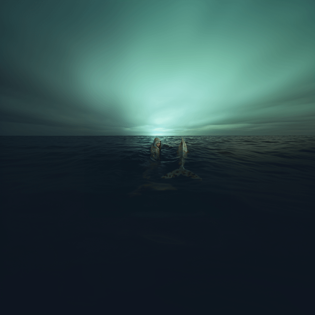 user_10/5x8ea1fvyyic1_7060b711-e5c4-4a83-bc10-60f2464b40d7.png