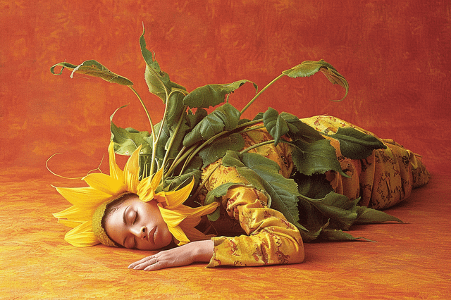 user_10/baby-photos-of-adult-celebrities-by-anne-geddes-v0-dh4vv50cc0jc1_aecbc0cb-6ef2-428f-aebc.png