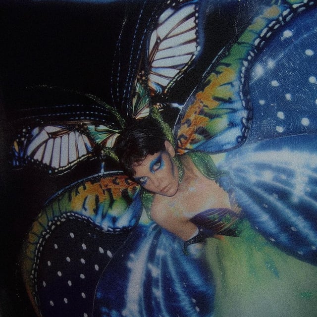 user_10/butterfly-woman-v0-3su6y66kb3jc1_0ca46ca9-3802-4b2e-9bbf-9fef3189f824.jpg