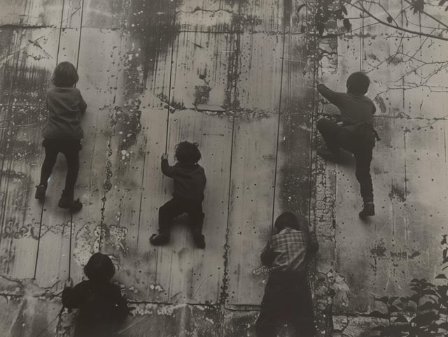 user_10/climbing-the-walls-v0-f7gsry8diujc1_d54e8711-f47b-408d-a80c-5332b47dcb35.jpg