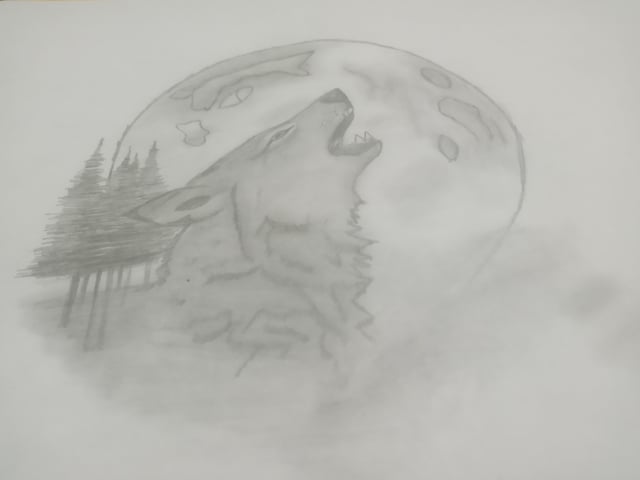 user_10/como-me-quedo-este-dibujo-v0-a8xsu41p30qc1_90c6f4fb-43e8-46a9-a795-290ca3d39e6a.jpg