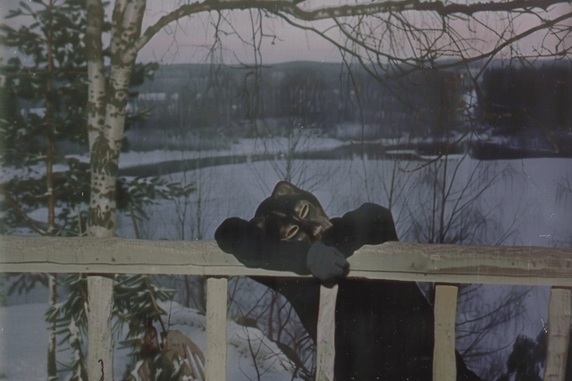 user_10/good-night-v0-0lmy6l7z0ykc1_47a7402d-2c45-4c6b-be87-cc9b42bb5887.png