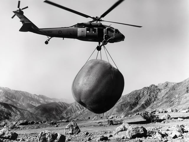 user_10/nukecore-fruit-v0-5pvq35rki6jc1_eba5360a-9d57-4014-bbbb-f79215f7e0d0.jpg