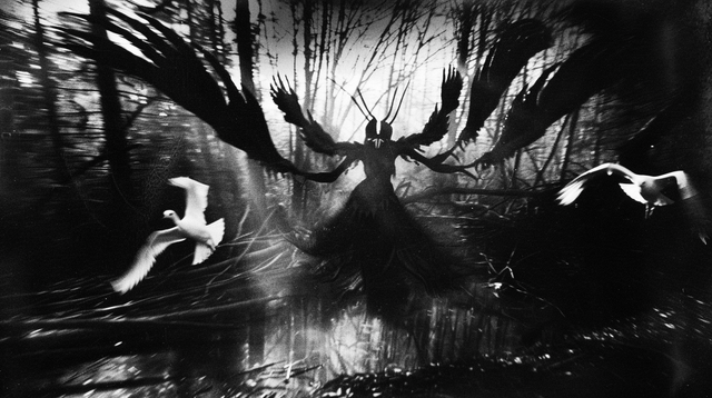 user_10/pinhole-angel-traps-v0-zgfyr44omjoc1_aa2c6a40-93b9-42c7-b1af-e88e3ebc3844.png