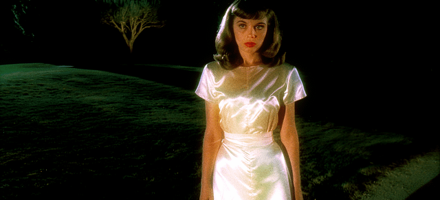 user_10/sweet-angels-of-the-night-v0-4eq9aav3yvkc1_1d696624-b457-4c5c-b721-90e881d9a063.png