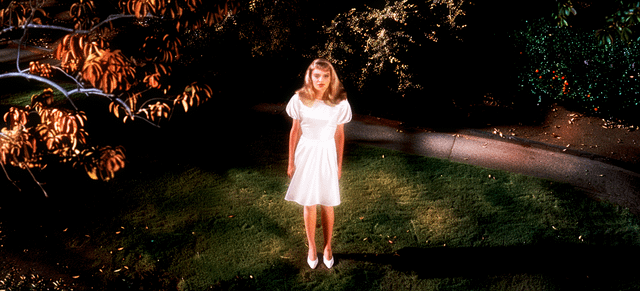 user_10/sweet-angels-of-the-night-v0-9p9u6ax1yvkc1_ad09cae3-5748-4e6e-9182-64057755faff.png